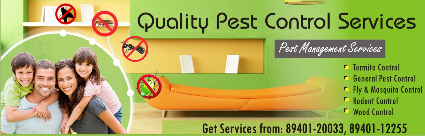 Quality Pest Control Services